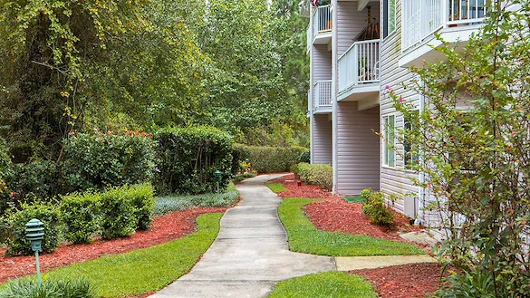 Image of University Pines - Sky Active Living (10)