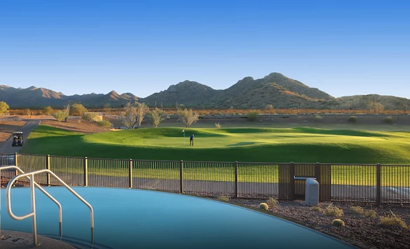 Image of Sun City Festival (7)