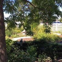 Image of Medilodge of Grand Blanc (4)