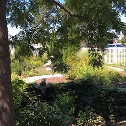 Image of Medilodge of Grand Blanc (4)