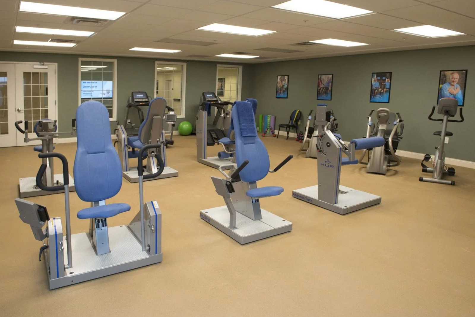 Image of Azalea at Hamilton (5)