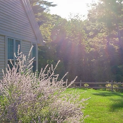 Image of Beverwyck Senior Living (2)