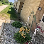 Image of Regency At Fremont (2)