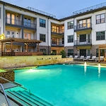 Image of Everleigh Forestwood (1)