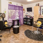 Image of Edgewood Aspen Wind (2)