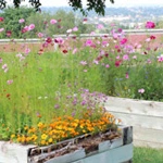 Image of Arbor View Care Center (2)