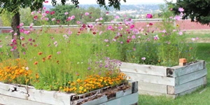 Image of Arbor View Care Center (2)