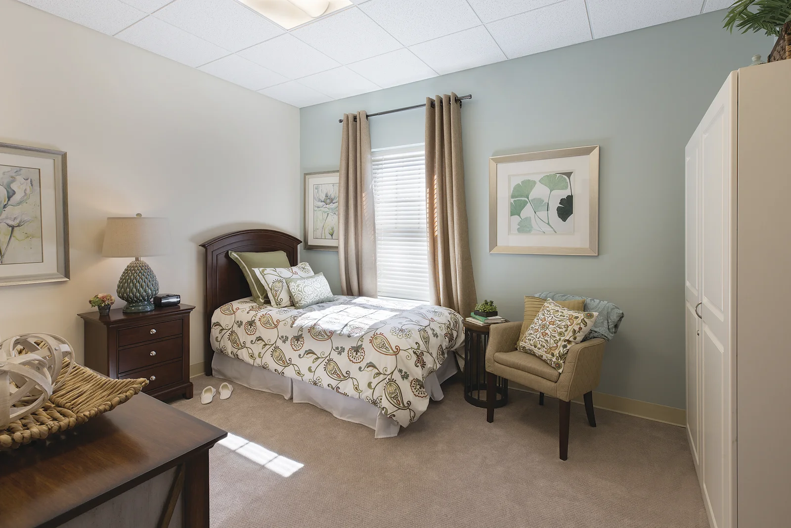 Image of Windrose at Weymouth (9)