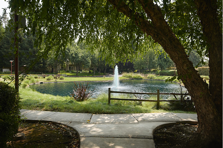 Image of River's Edge (4)