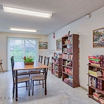 Image of Golden Elm (6)