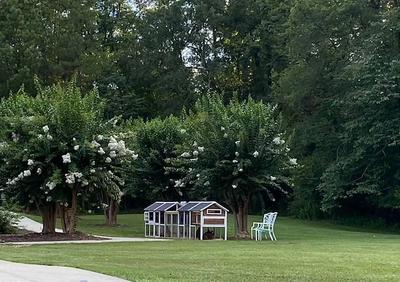 Image of Chelsea's Hidden Acres Assisted Living (3)