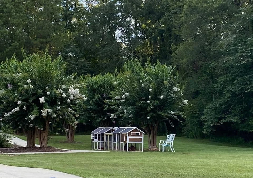 Image of Chelsea's Hidden Acres Assisted Living (3)