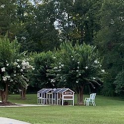 Image of Chelsea's Hidden Acres Assisted Living (3)