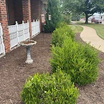 Image of Lansing Care And Rehab (3)