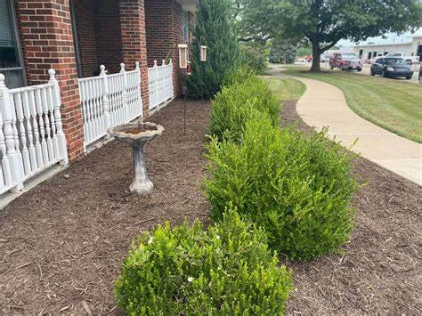 Image of Lansing Care And Rehab (3)