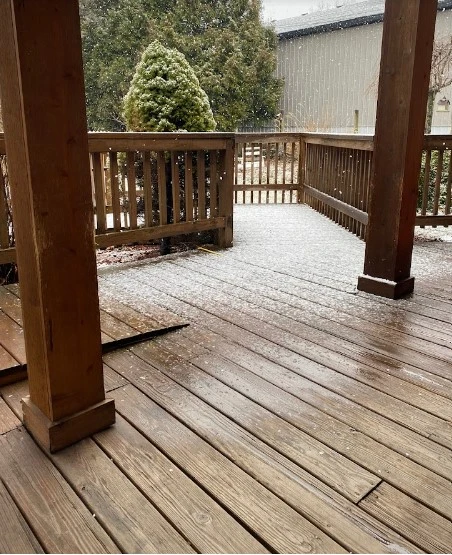 Image of Carol's Home Adult Foster Care (2)