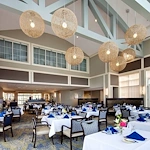 Image of Buckingham's Choice (3)