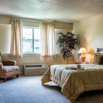 Image of Premier Cadbury (10)