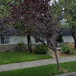 Image of Rose Terrace Cottages (1)