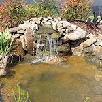 Image of Sunshine Manor (7)