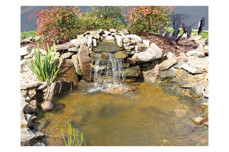 Image of Sunshine Manor (7)