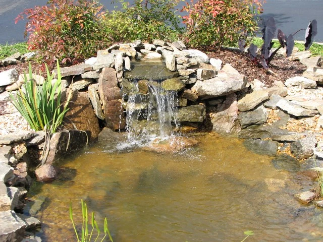 Image of Sunshine Manor (7)