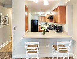 Image of The Carlin (2)