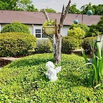 Image of Sodalis Pensacola (10)