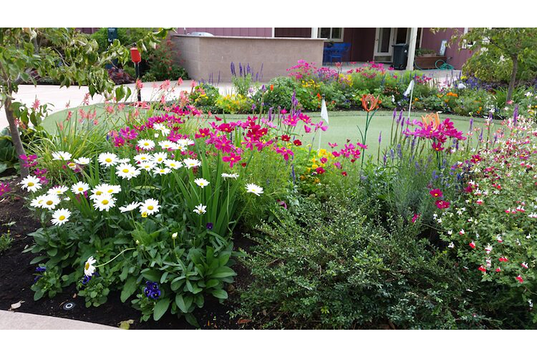 Image of Quail Crest Memory Care (4)