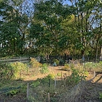 Image of Sebastian Villa Apartments (5)