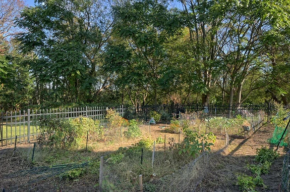 Image of Sebastian Villa Apartments (5)