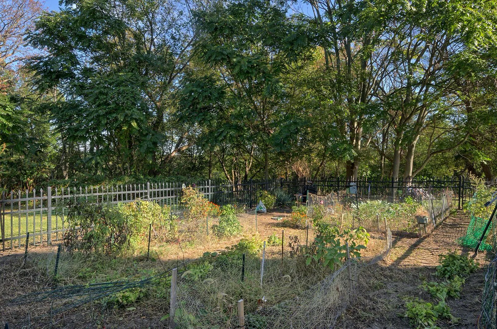 Image of Sebastian Villa Apartments (5)