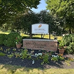 Image of Lily Brook (1)