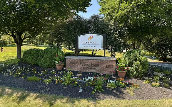 Image of Lily Brook (1)