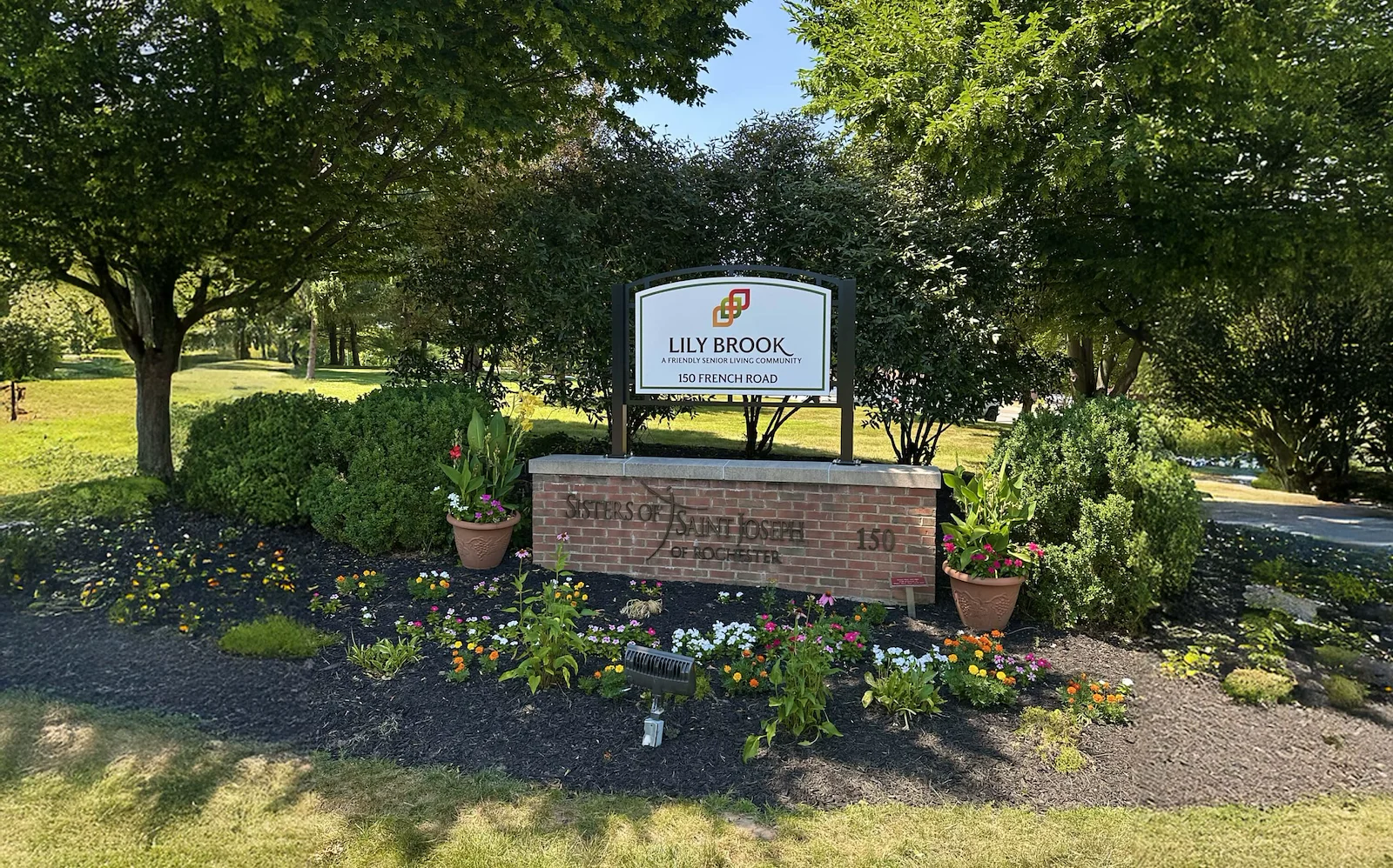 Image of Lily Brook (1)