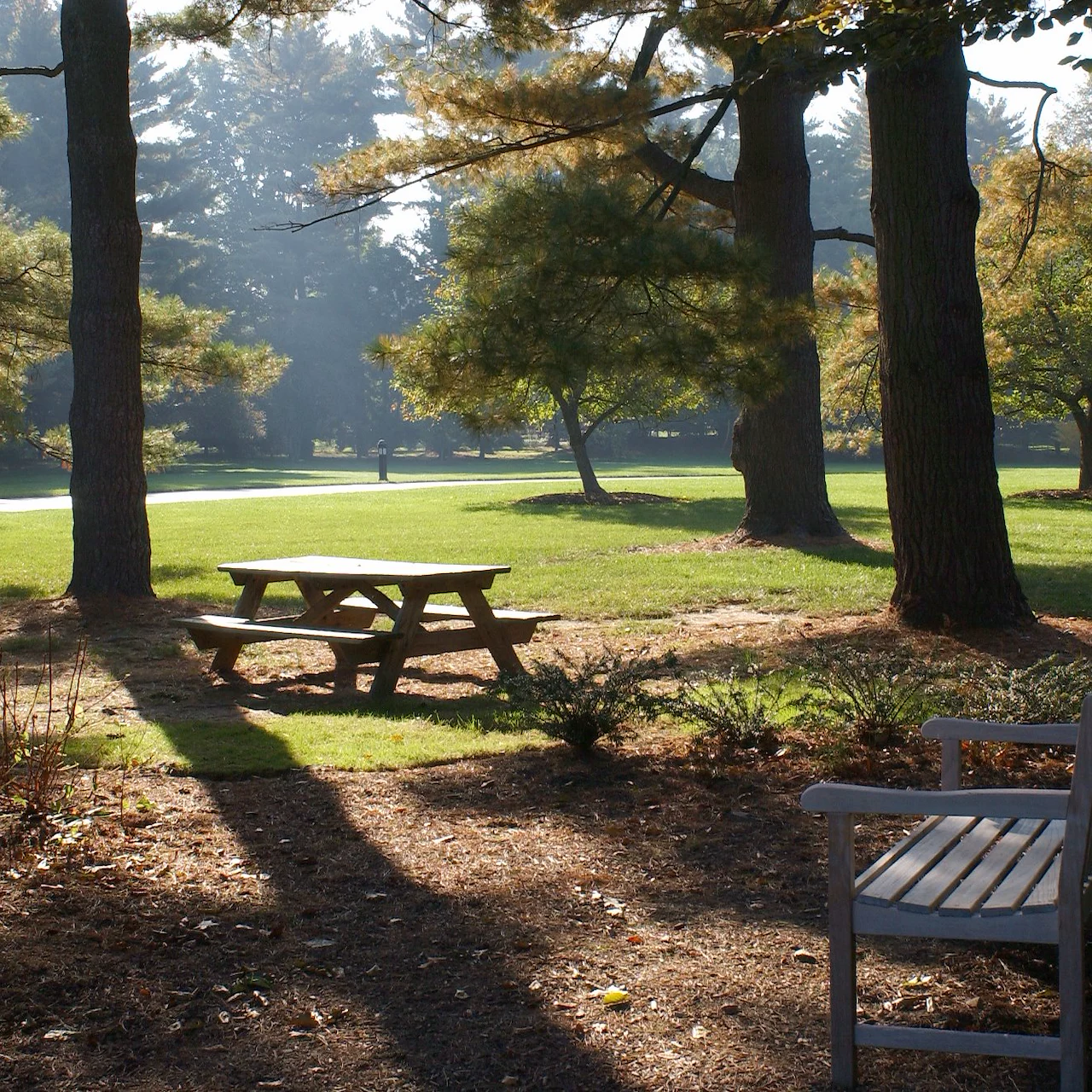 Image of Waverly Heights (3)