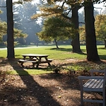 Image of Waverly Heights (3)
