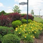 Image of The Laurels (2)