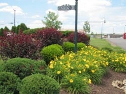 Image of The Laurels (2)