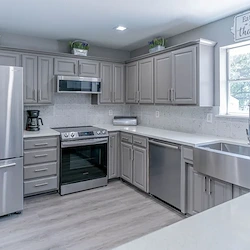 Image of Silver Leaf Denison on Crawford (4)