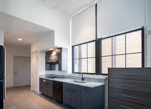 Image of The Pryde (3)