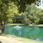 Image of Springside Meadows (6)