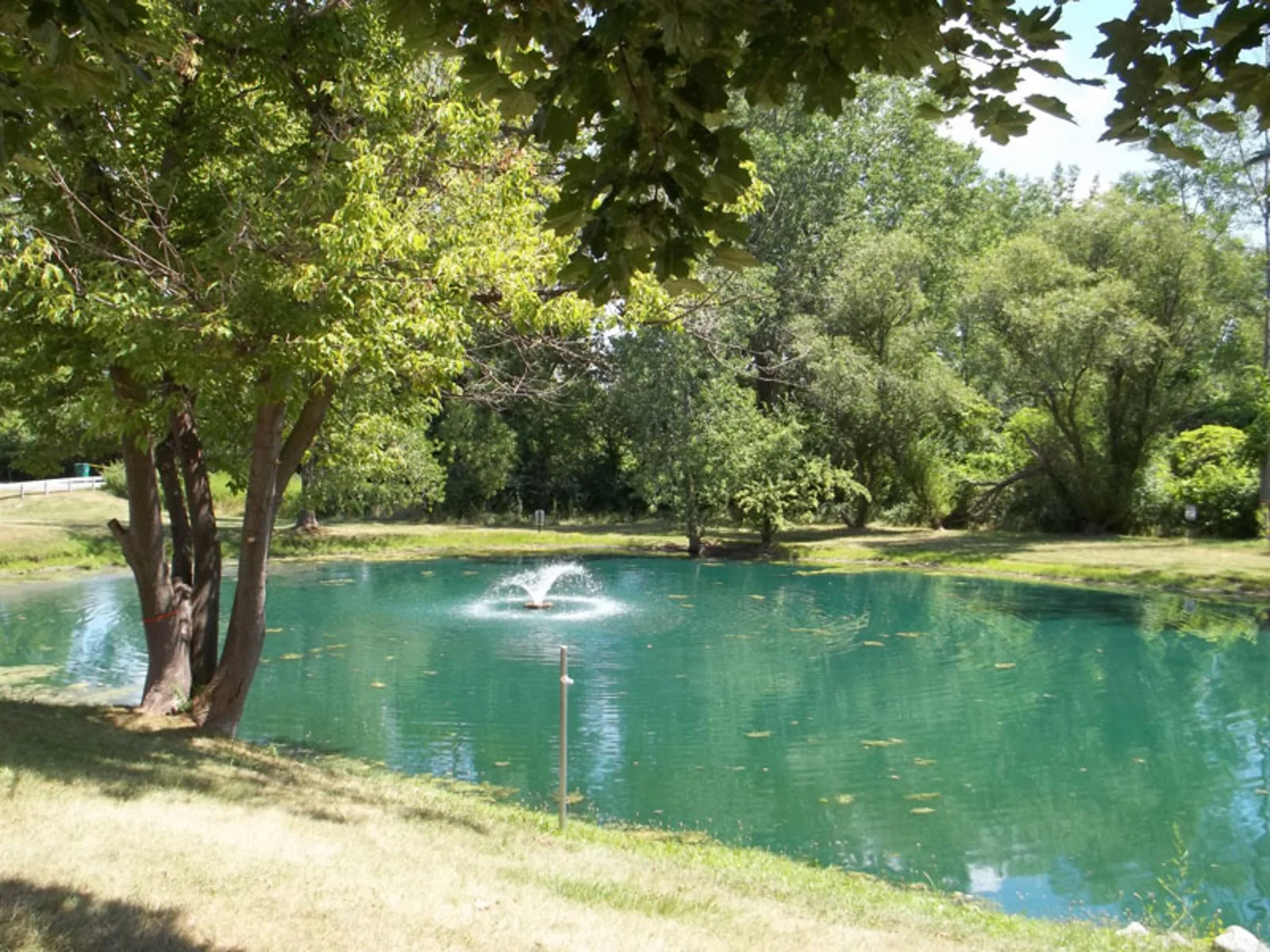 Image of Springside Meadows (6)