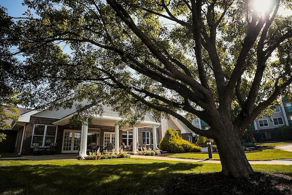 Image of The Windsor of Savoy (1)