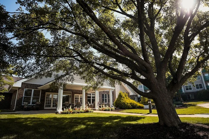 Image of The Windsor of Savoy (1)