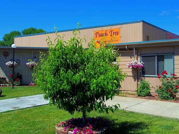 Image of Peach Tree Retirement (1)