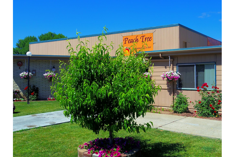 Image of Peach Tree Retirement (1)