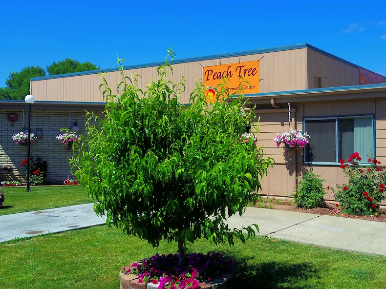 Image of Peach Tree Retirement (1)