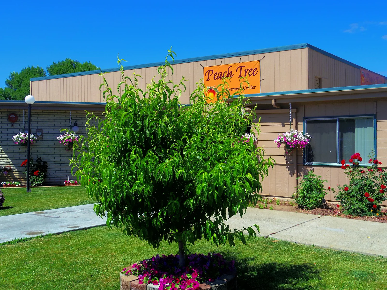 Image of Peach Tree Retirement (1)