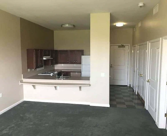 Image of Cranes Landing (3)